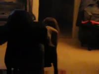 Lady getting smashed by dog from behind